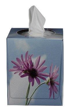 Cube mouchoirs parfumés
